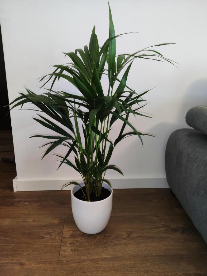 Apartament Milionova Apartment Lodz  Luaran gambar
